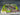 Kleavor V Star Premium Collection - - PKMWINKEL
