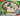 Pokemon Cyclizar EX Box - - Premium collection - PKMWINKEL