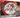 Pokémon TCG: Bloodmoon Ursaluna EX Box - - PKMWINKEL