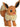 Pokémon Knuffel Eevee Junior 20 Cm Pluche - - PKMWINKEL