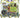 Pokémon TCG Sword & Shield: Brilliant Stars 3 booster blister Leafeon - - PKMWINKEL