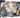 Pokemon Black Bolt & White Flare Illustration Collection – Victini