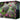 Pokemon Shrouded Fable Elite Trainer Box