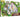 Pokemon Premium Collection Kleavor VSTAR